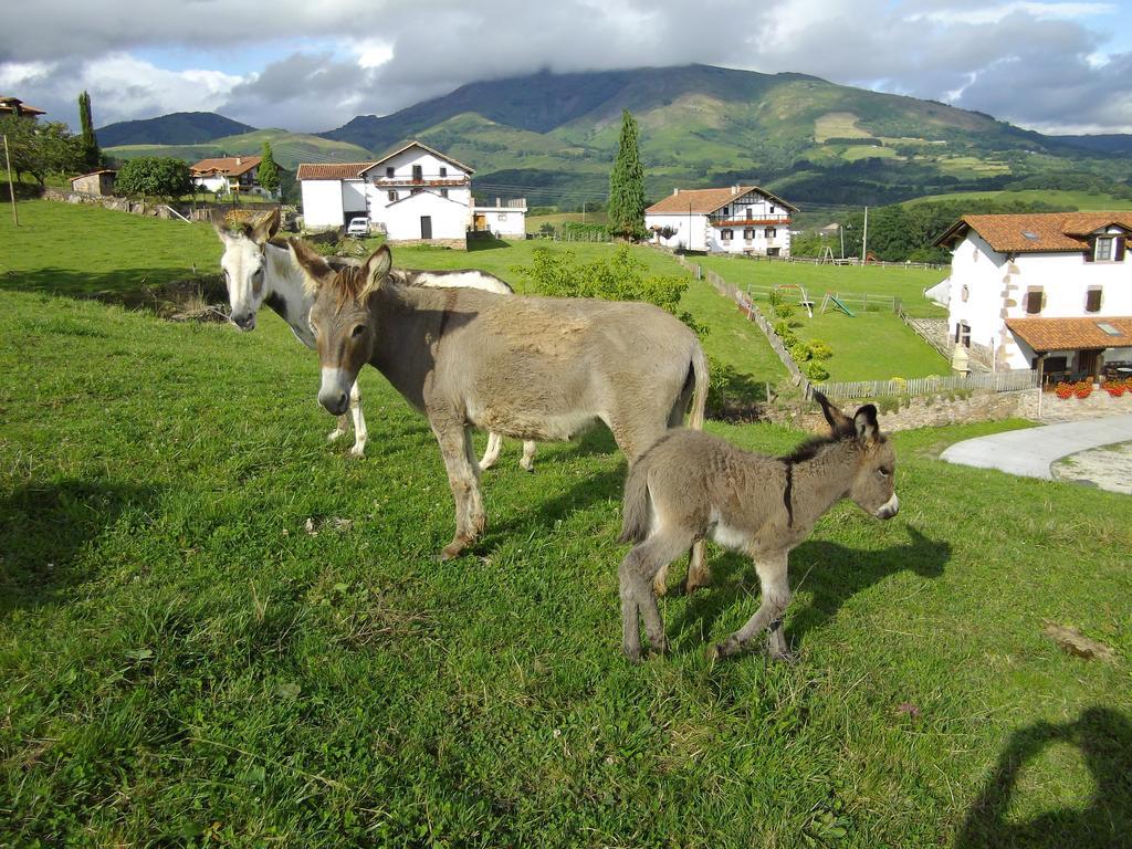 Casa Rural Gananea Zuaztoy de Azpilcueta Rom bilde